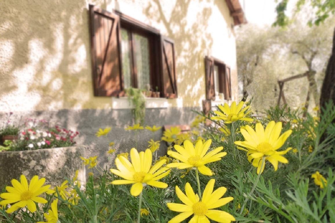 Agriturismo Macchiapiede Sala Consilina Luaran gambar